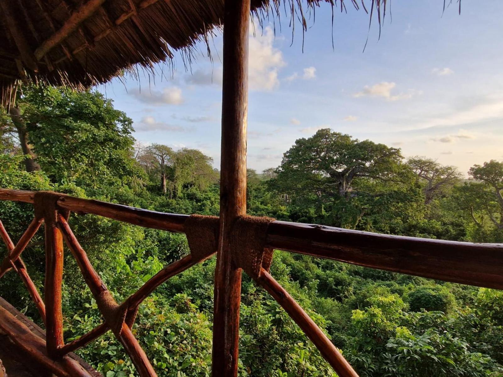 Monkey Mountain Lodge Mtende Extérieur photo